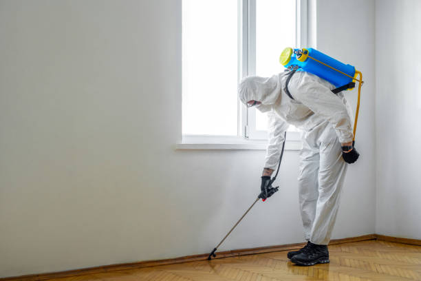 Best Real Estate Pest Inspections  in Stony Prairie, OH